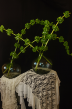 BOREAL GLASS VASE