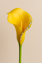 FLORAL ATELIER - Custom Luxury Blooms