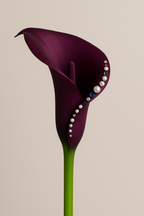 FLORAL ATELIER - Custom Luxury Blooms