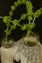BOREAL GLASS VASE
