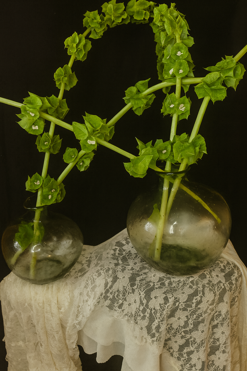 BOREAL GLASS VASE