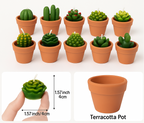 MINI CACTUS CANDLES