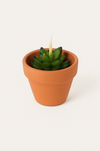 MINI CACTUS CANDLES