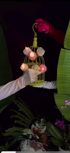 Flowers Candles
